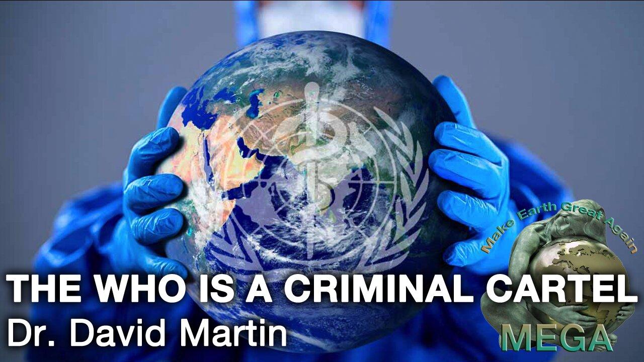 David Martin Exposing the CRIMINAL WHO at the CRIMINAL CORPORATE European Globalist "Parliament" in Strasbourg, France