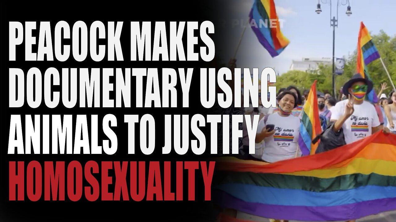 Peacocks New Gay Documentary