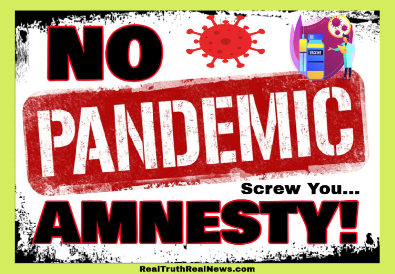 🎯 REPOST: Economist Emily Oster Suggests ‘Pandemic Amnesty’ ~ Not a Chance In Hell Lady! We Want Justice, Accountability 