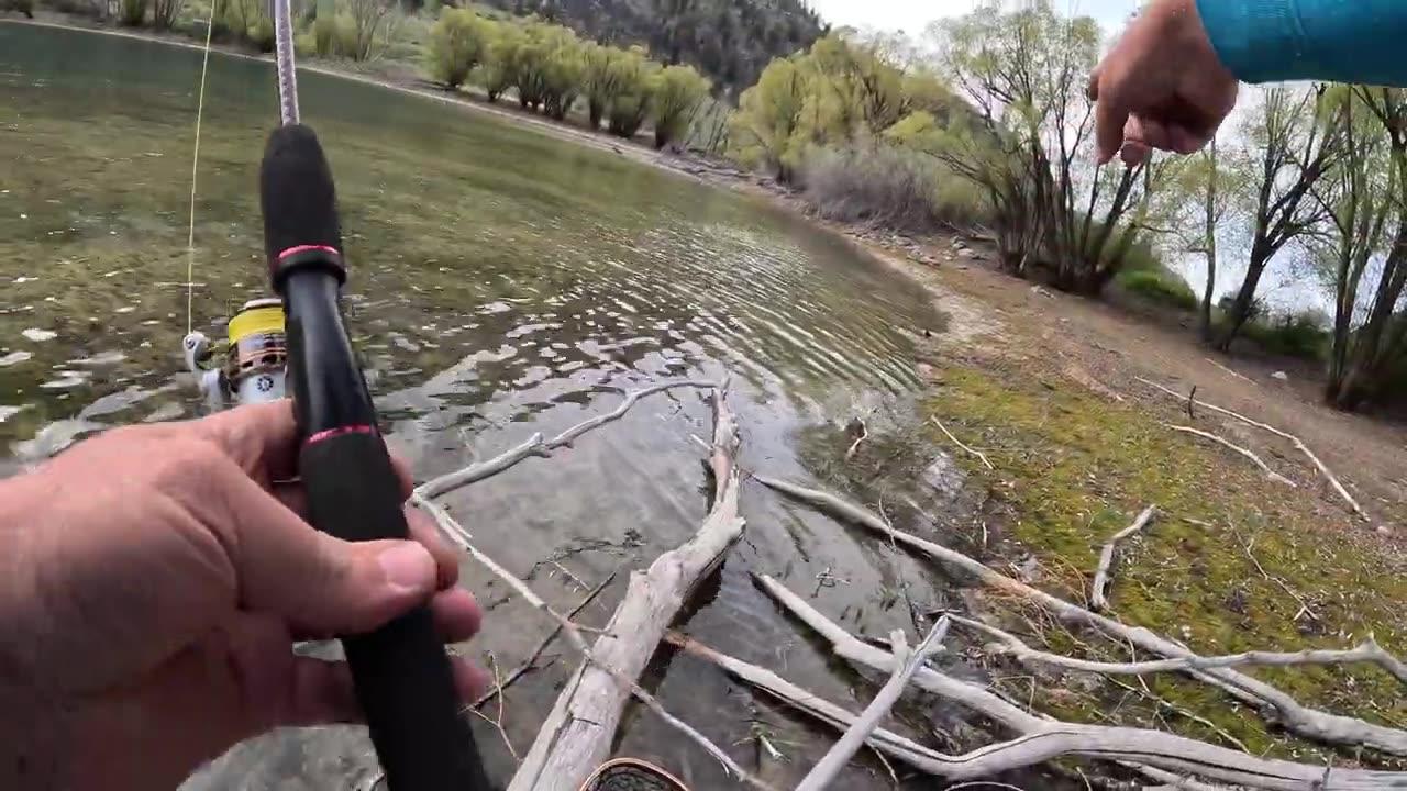 Fishing a TINY LAKE filled with GIANT TROUT!!!