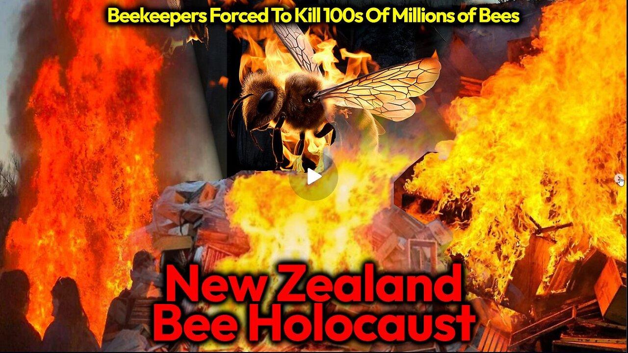 New Zealand Joins Australia Govt In MASSIVE Bee Massacre - Biosecurity Act Used To Kill Pollinators