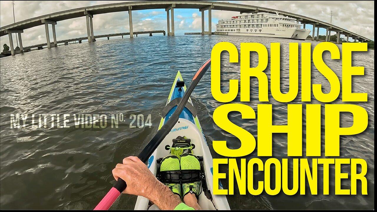 MY LITTLE VIDEO NO. 204--CRUISE SHIP ENCOUNTER