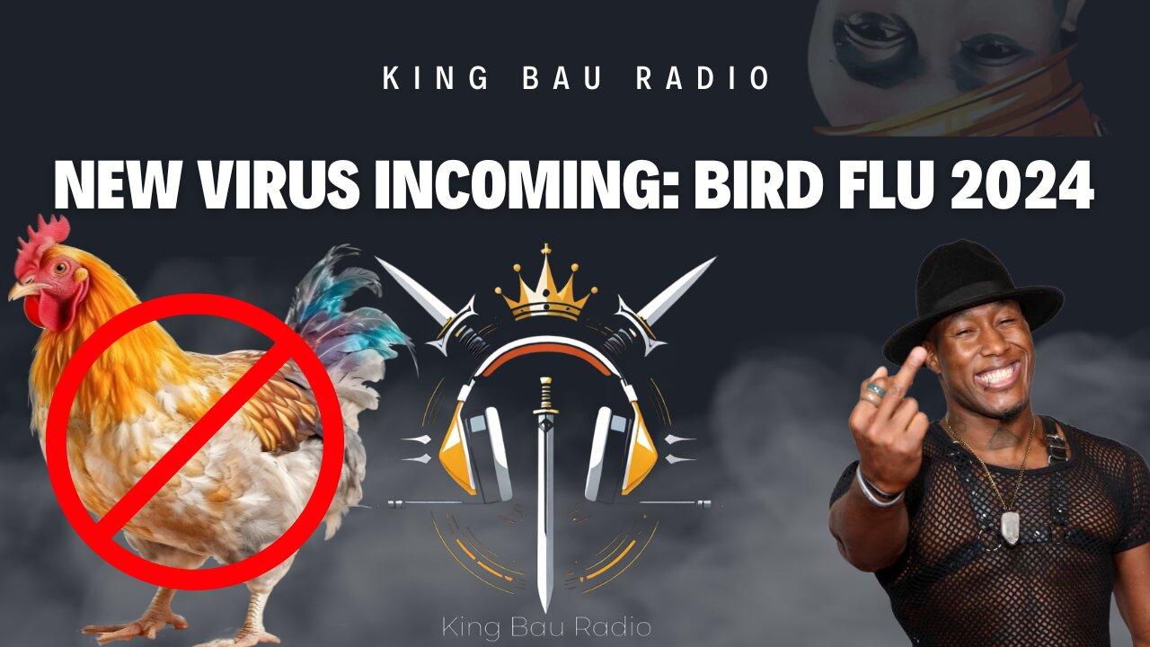 KING BAU RADIO | NEW BIRD FLU: 2024