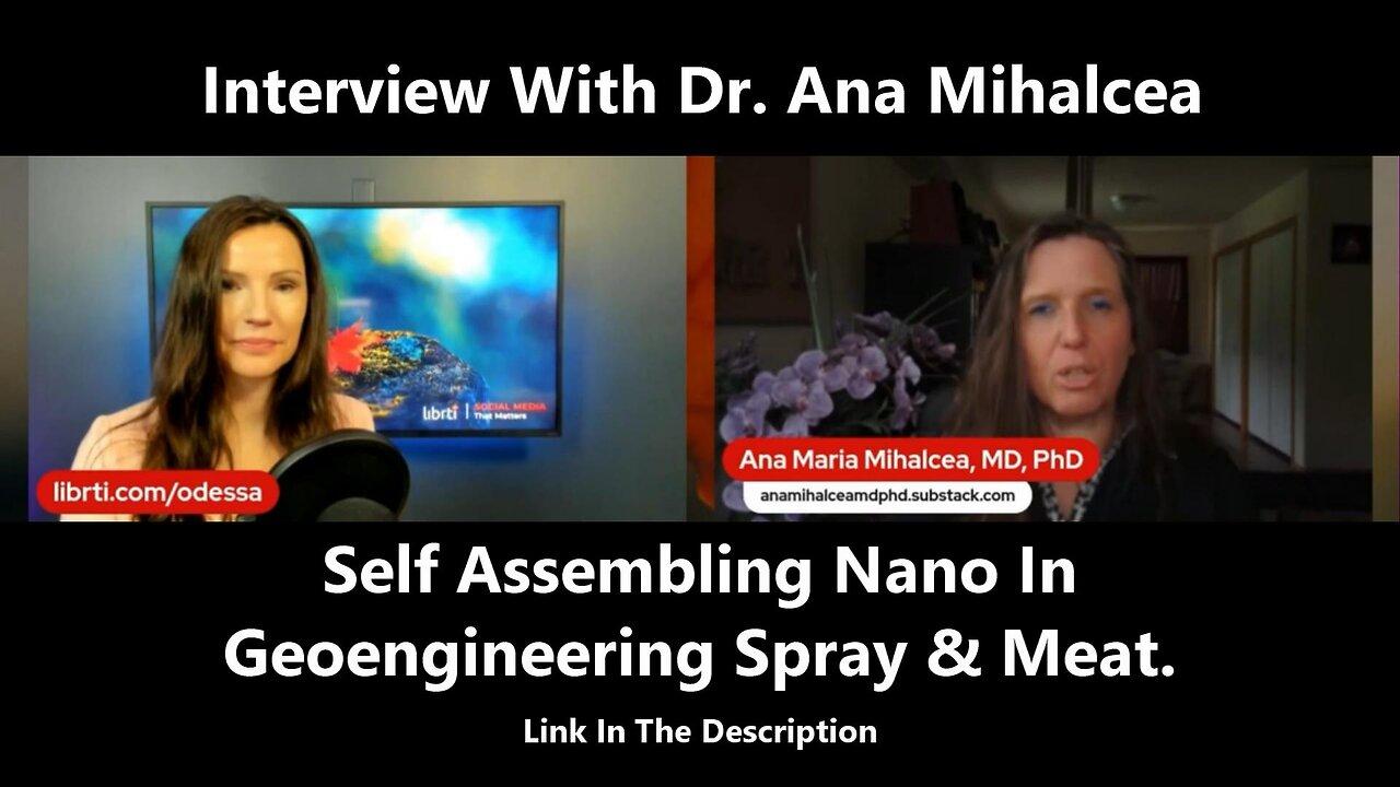 Self Assembling Nano In Geoengineering Spray & Meat. Interview With Dr. Ana Mihalcea