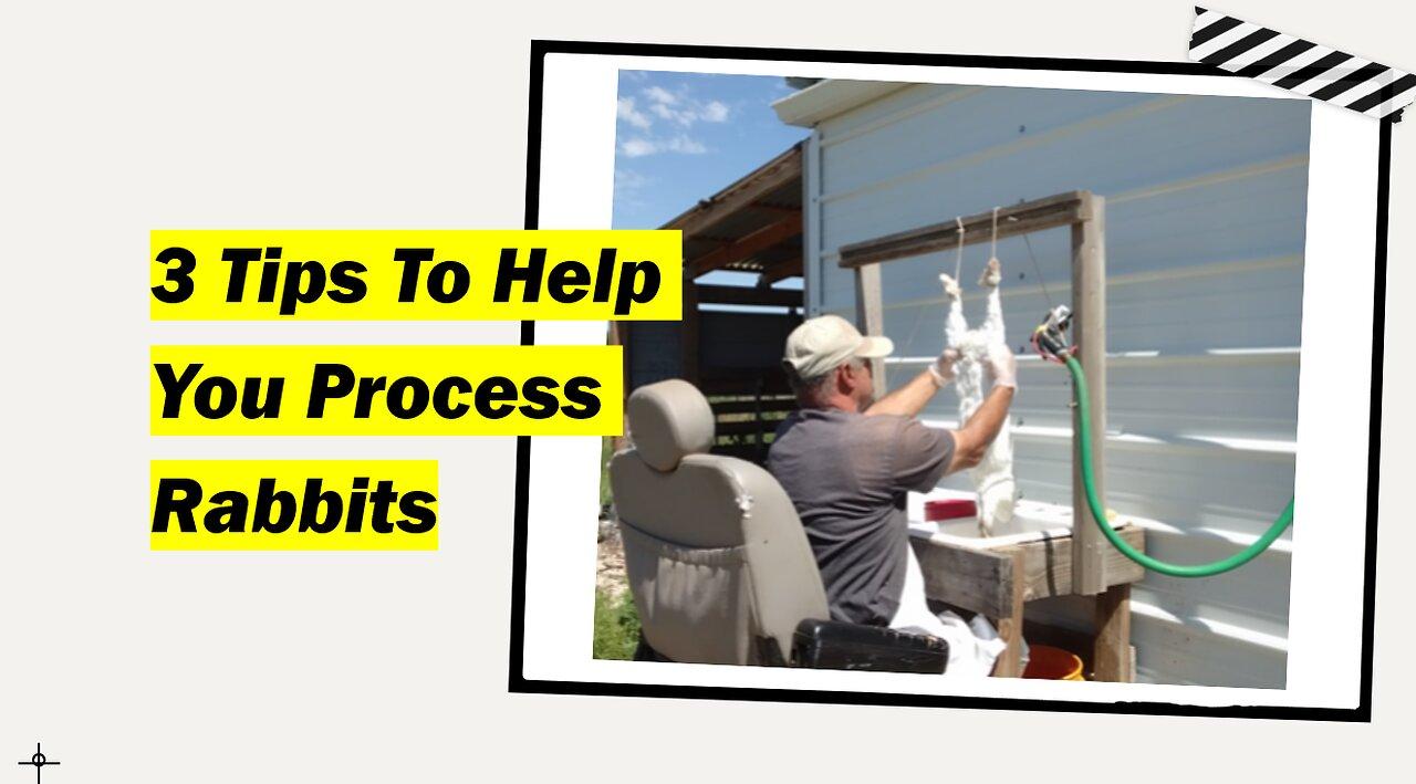 3 Tips To Help You Process Rabbits