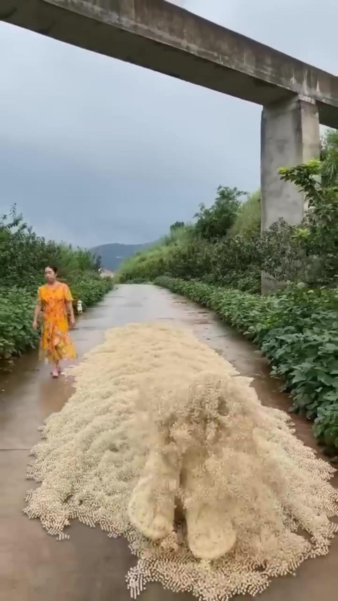 The Secret Of Sand Sculpture Special Effects One News Page Video