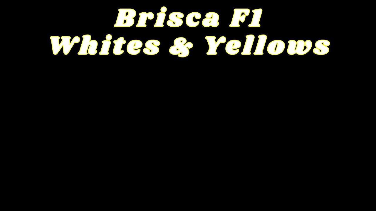 18-05-24 Brisca F1 Whites & Yellows, Adrian Flux Arena
