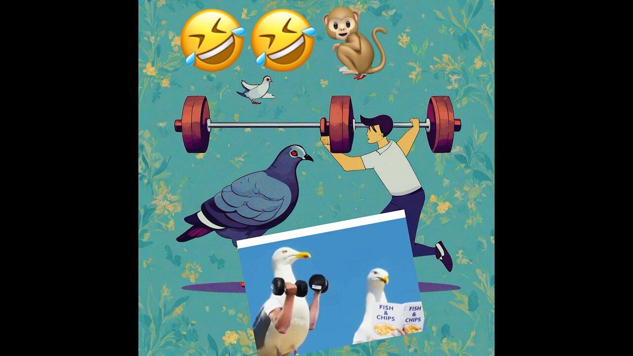 How Tweet it is!!! 😜😜 Funny bird pumping iron 🤣🤣🤣