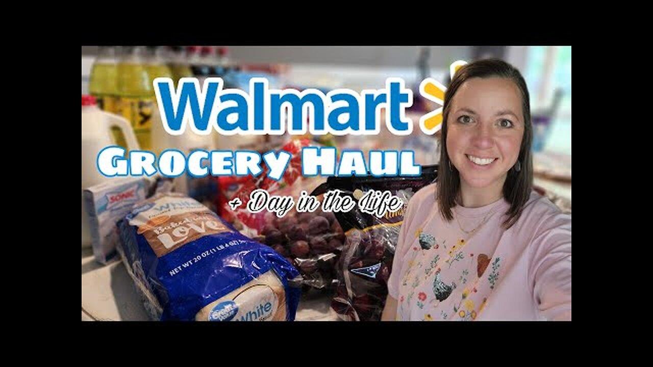 LARGE FAMILY Walmart Grocery Haul | + Meal Plan - One News Page VIDEO