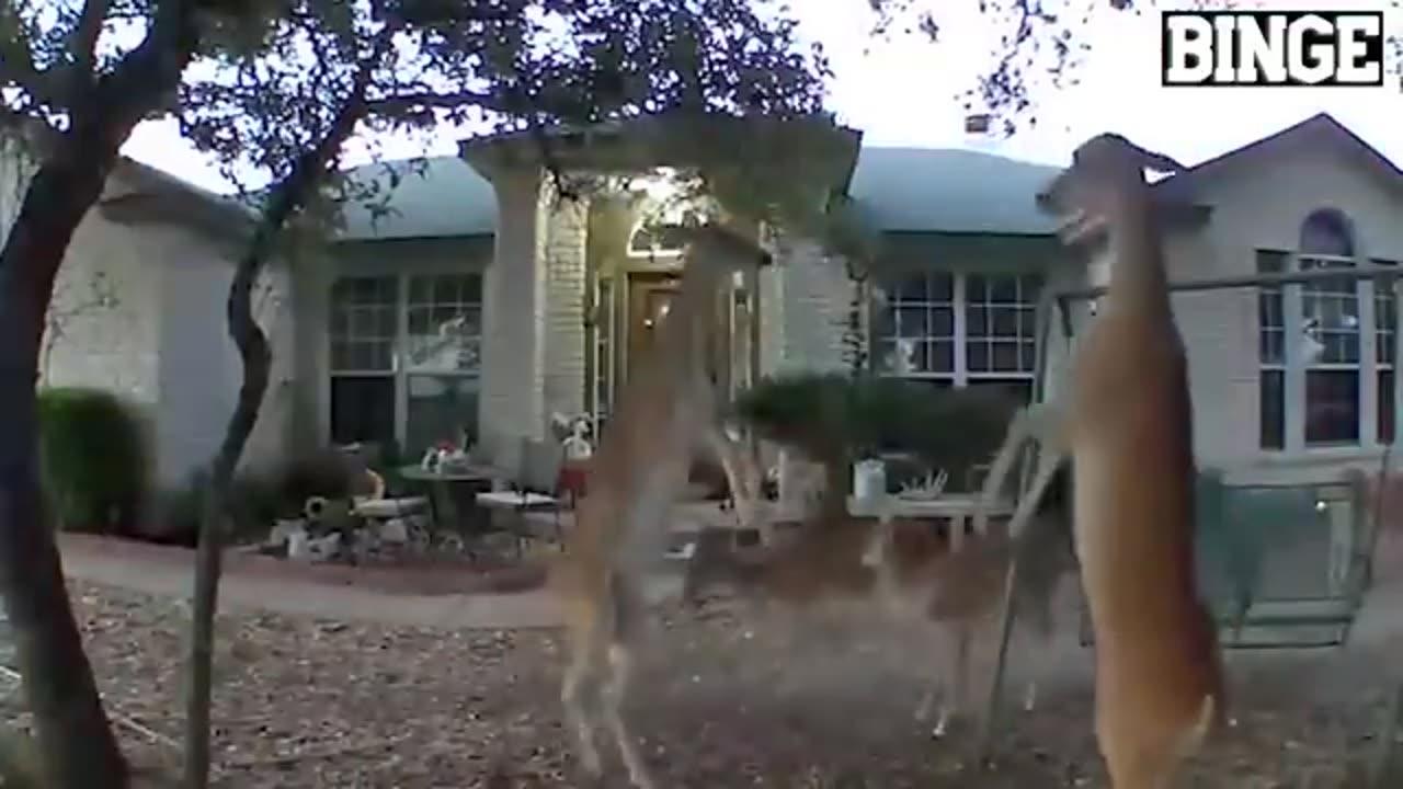 50 Incredible Moments Caught On Camera  #36