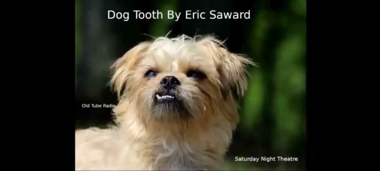 Dog tooth by Eric Saward. BBC RADIO DRAMA