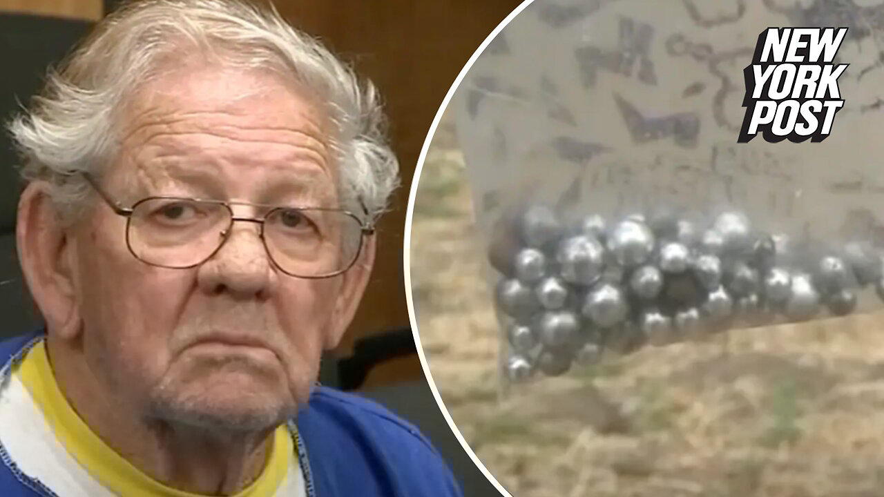 California 'serial slingshot shooter' One News Page VIDEO