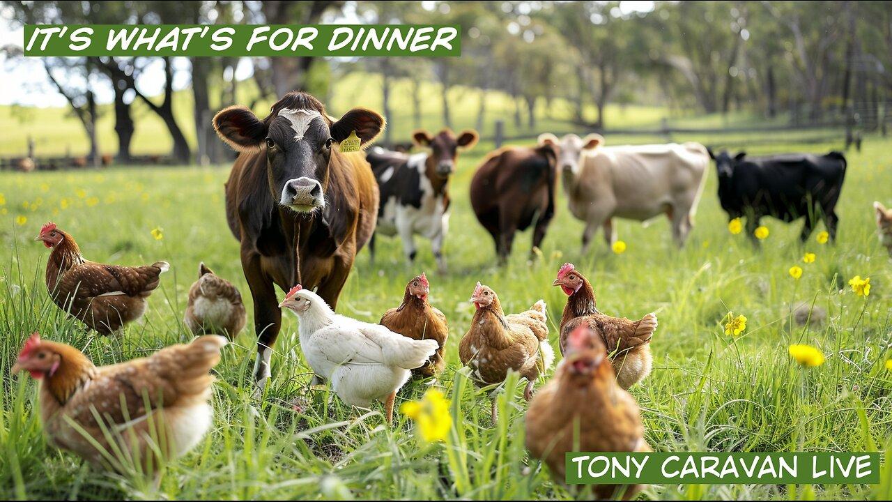 June 2, 2024 Food Shortages and Toxic Foods One News Page VIDEO