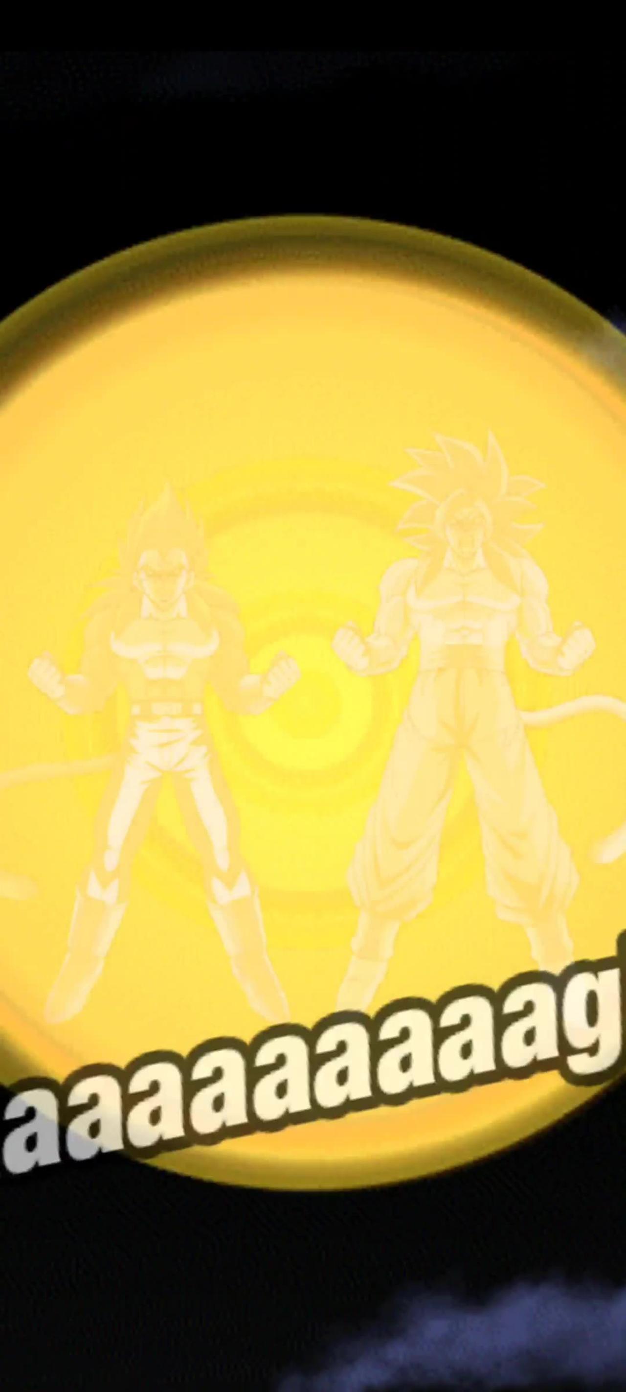 SSJ4 Goku & Vegeta Animations - DBZ Dokkan Battle