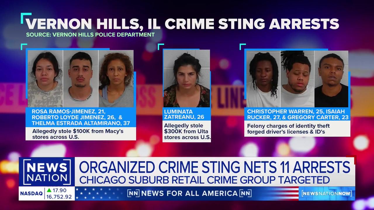 Organized Crime Bust Arrests Made in Chicago One News Page VIDEO