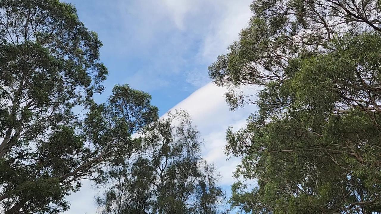 June Geo-engineering  in Sydney