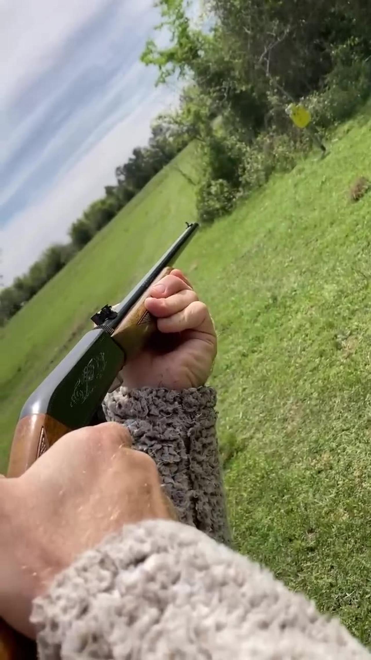 Browning 22 Semi-Auto rifle