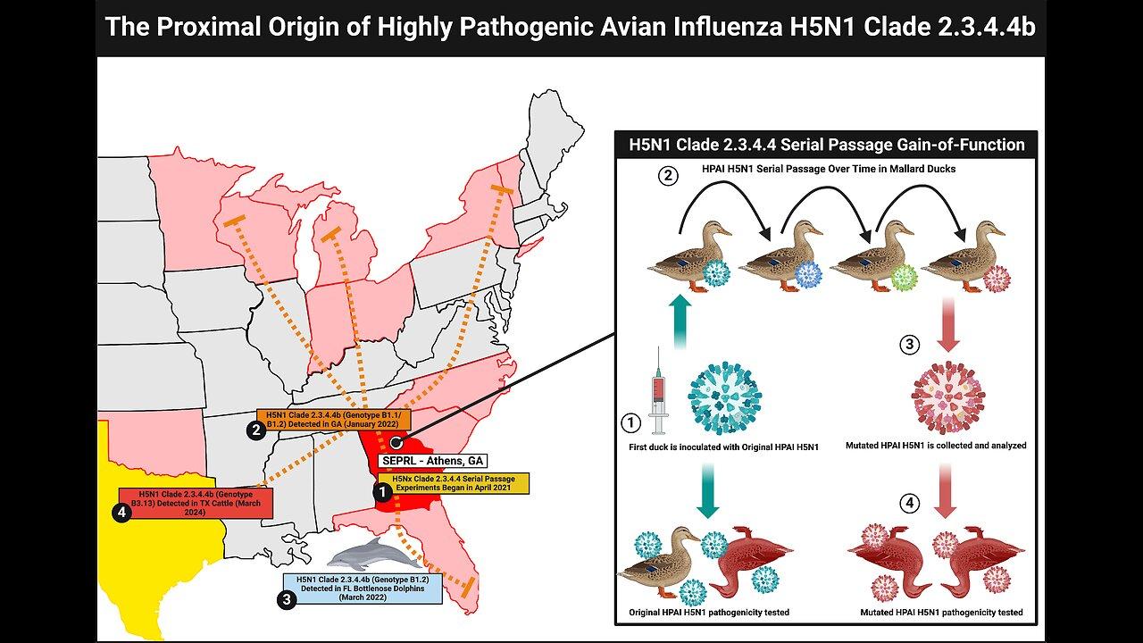 BREAKING - H5N1 Bird Flu Likely Leaked from the USDA SEPRL Lab in Georgia