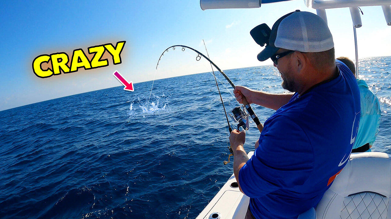INSANE offshore fishing tossing out live bait!