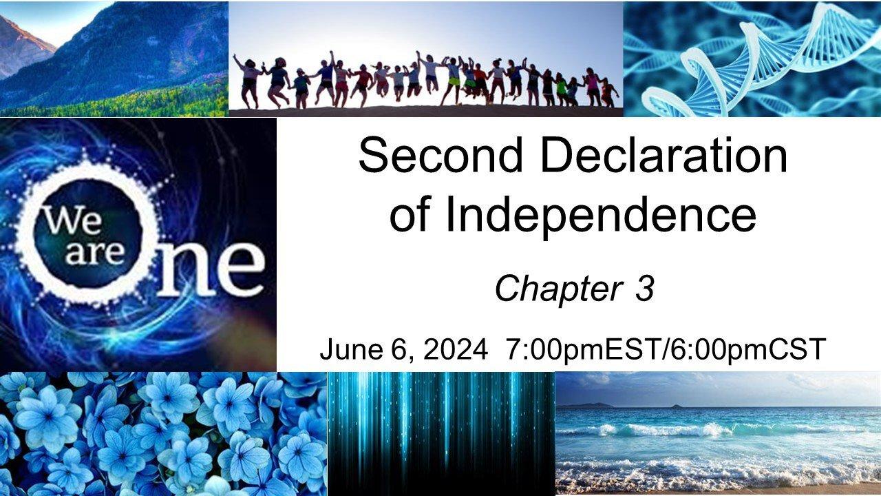 The Second Declaration of Independence   Chapter 3