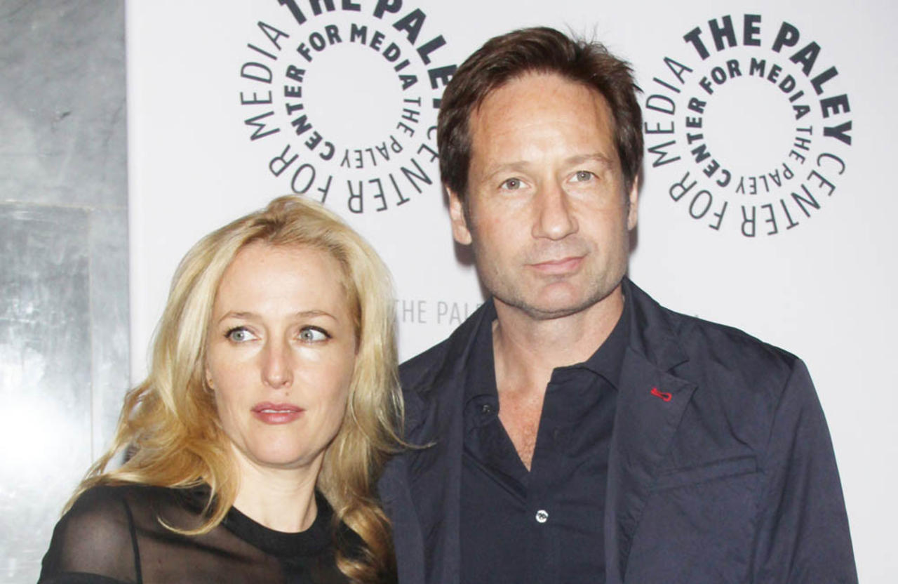 David Duchovny and Gillian Anderson developed an 'immediate connection' when they first met