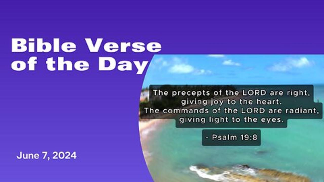 Bible Verse of the Day: June 7, 2024 - One News Page VIDEO