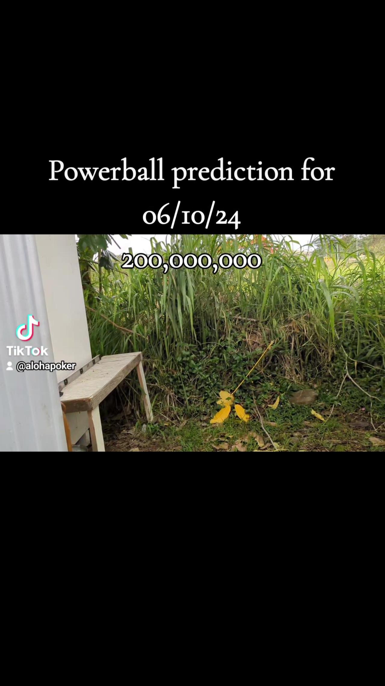 Powerball prediction for 06/10/24