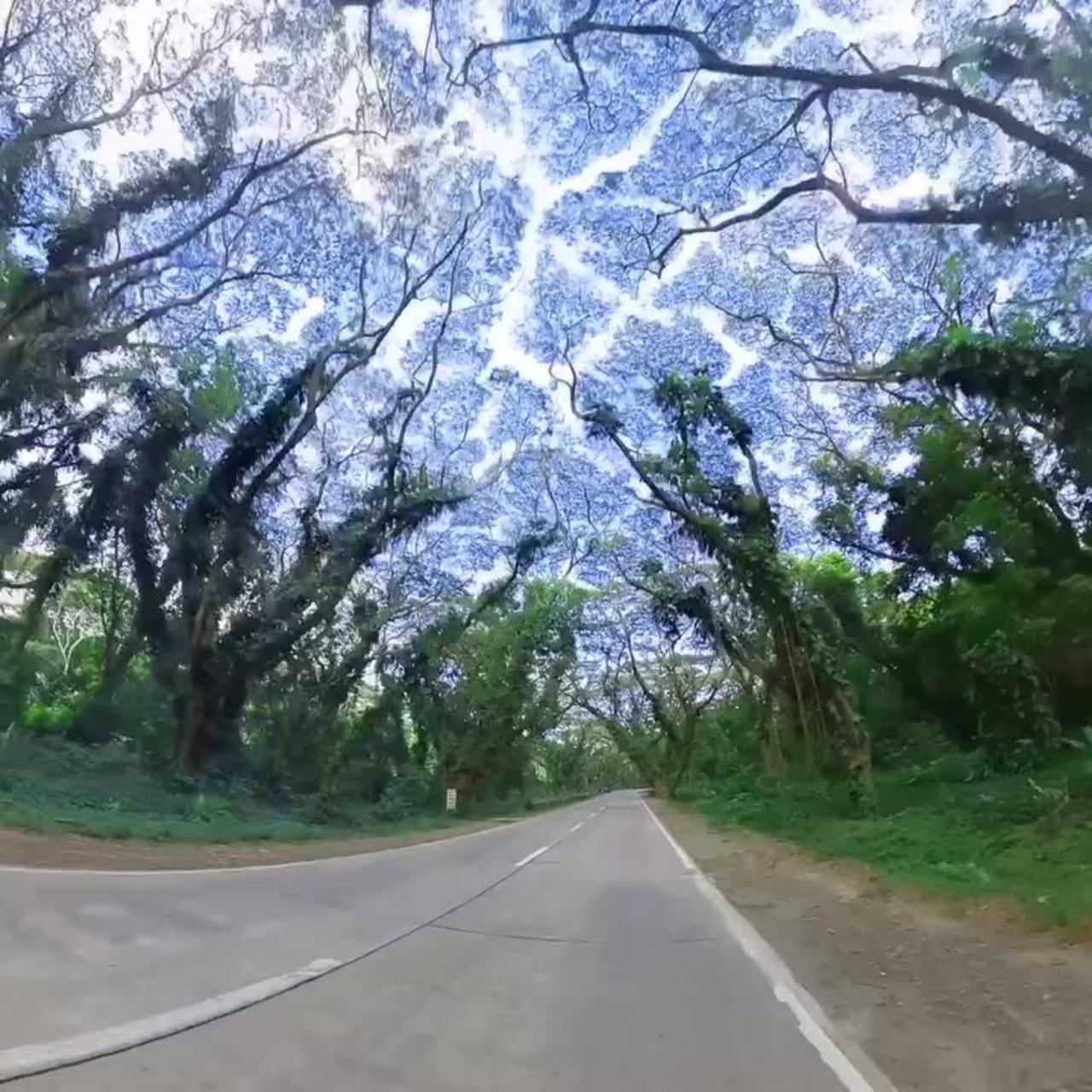 ACACIA TUNNEL , PALAWAN