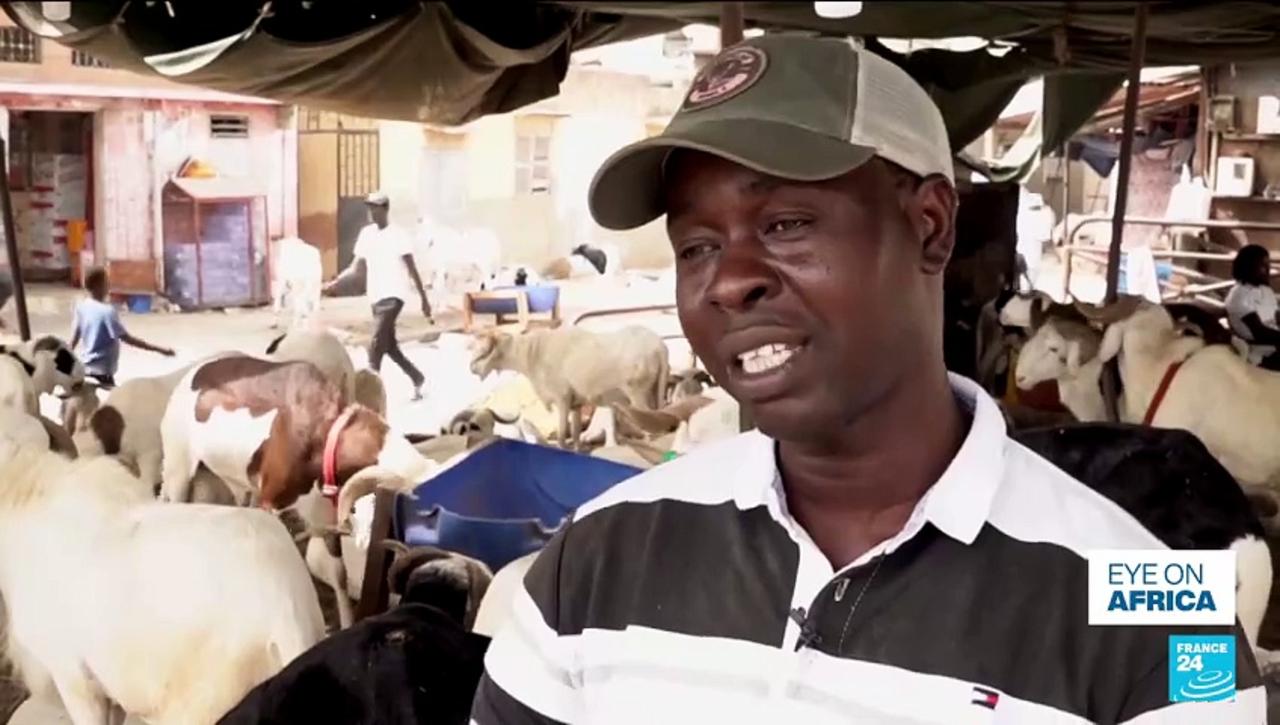 Senegal: price of sheep soar ahead of Tabaski