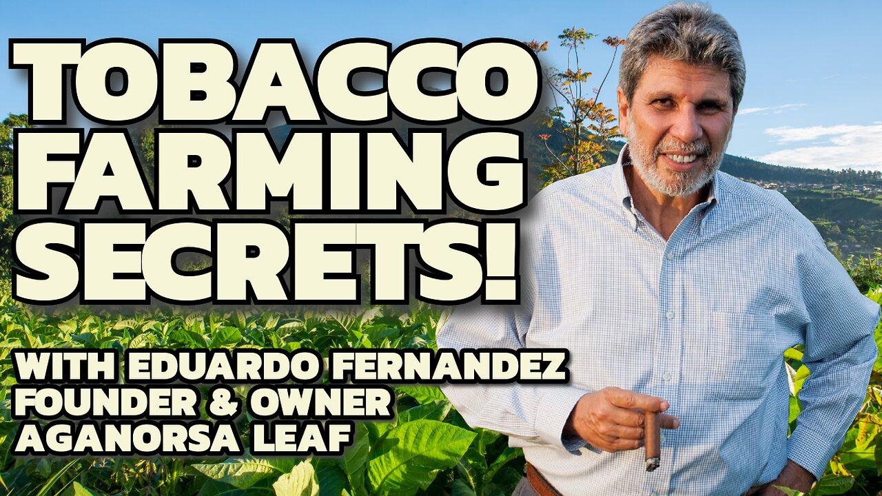 Tobacco Farming and Cigar Secrets with Eduardo Fernandez