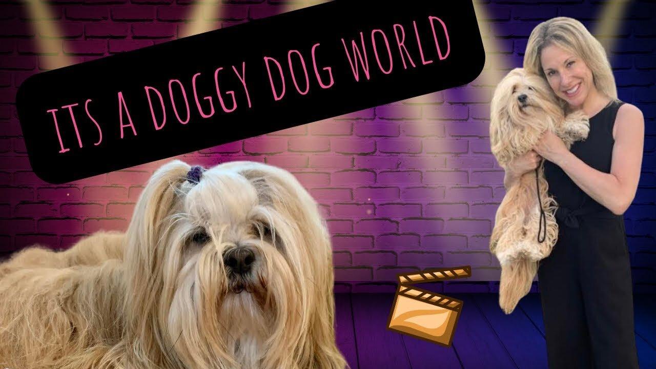 Long Island Hustlers Discuss Dog Actors EP #12-2022