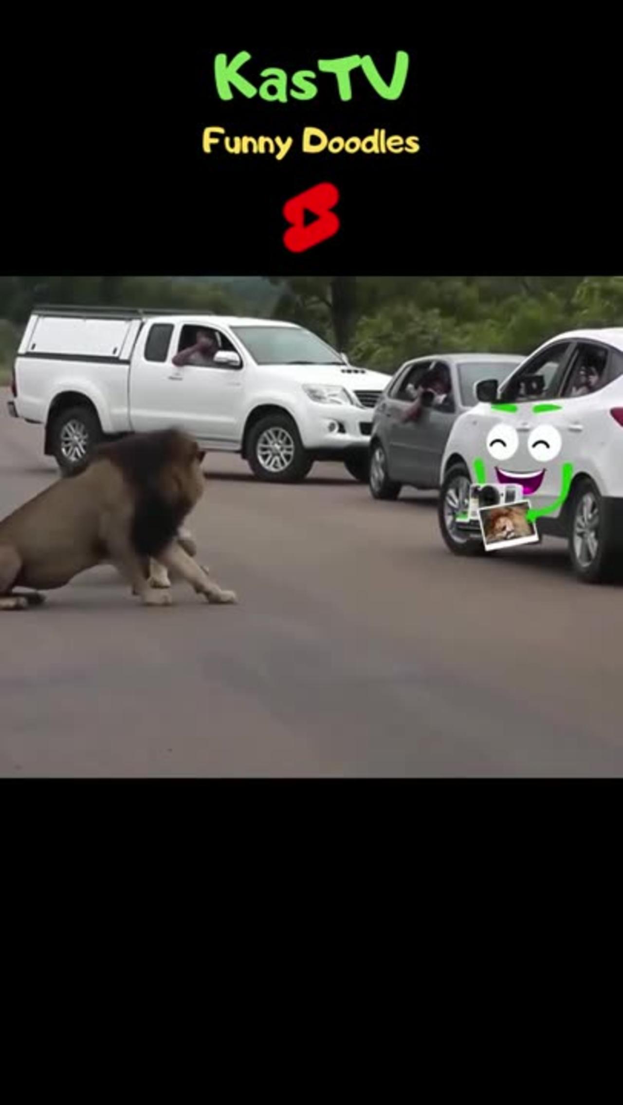 Wild Animal Encounters 2 - Attack On Cars - Funny Doodles - Compilation - Episode 88 #shorts