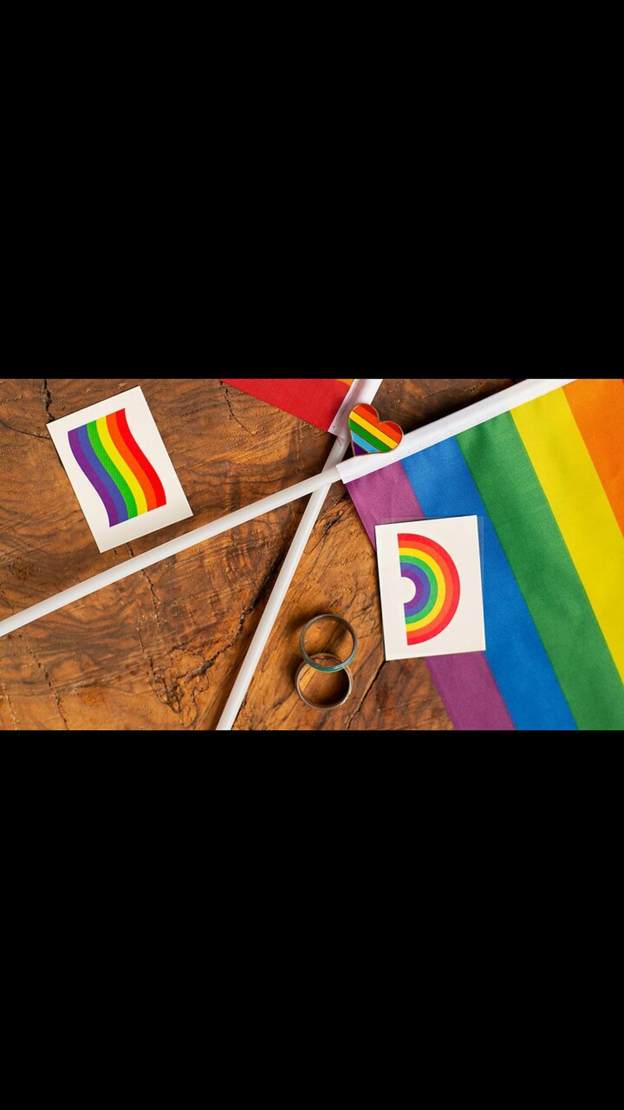 What Does the Paraphiliac Pride Flag Mean?