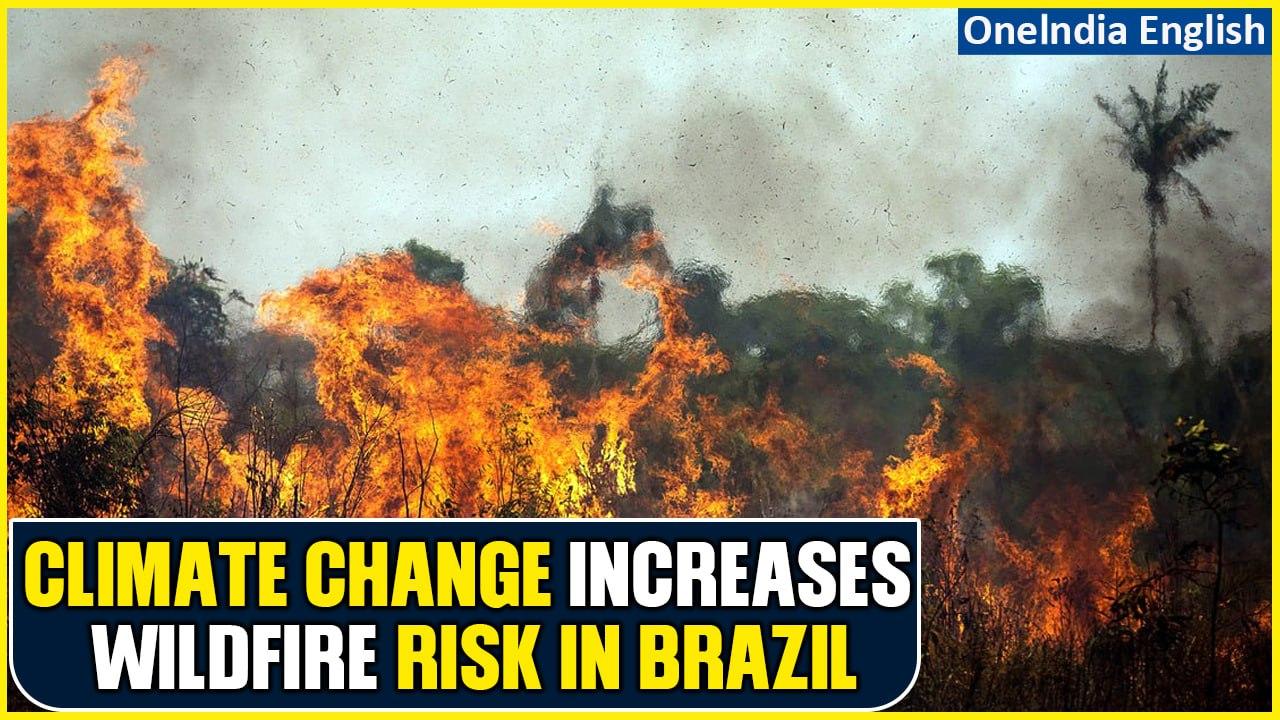 Brazil Battles Early Wildfires in Pantanal Following Devastating Floods | Watch