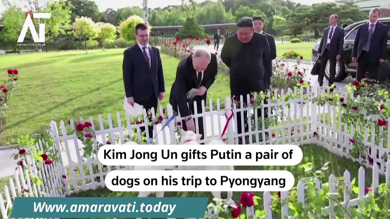 Kim Jong Un Gifts Putin Rare Pungsan Dogs State Media Clip | Amaravati Today