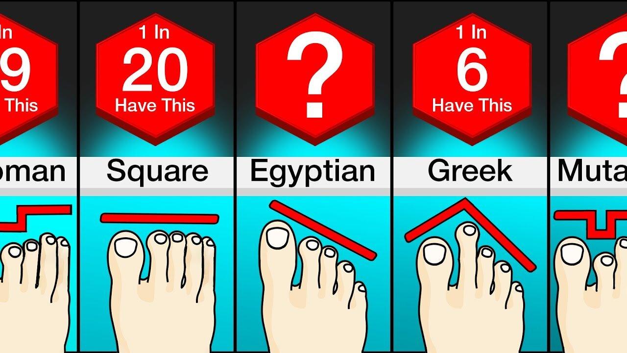 Comparison: Different Types Of Feet - One News Page VIDEO