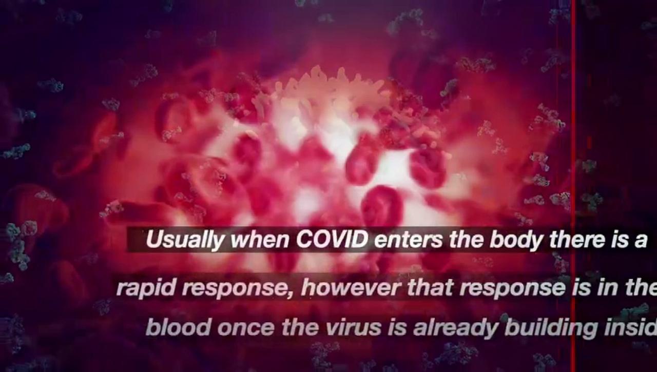 New COVID Study Shows Why Some People Just Never Get the Virus
