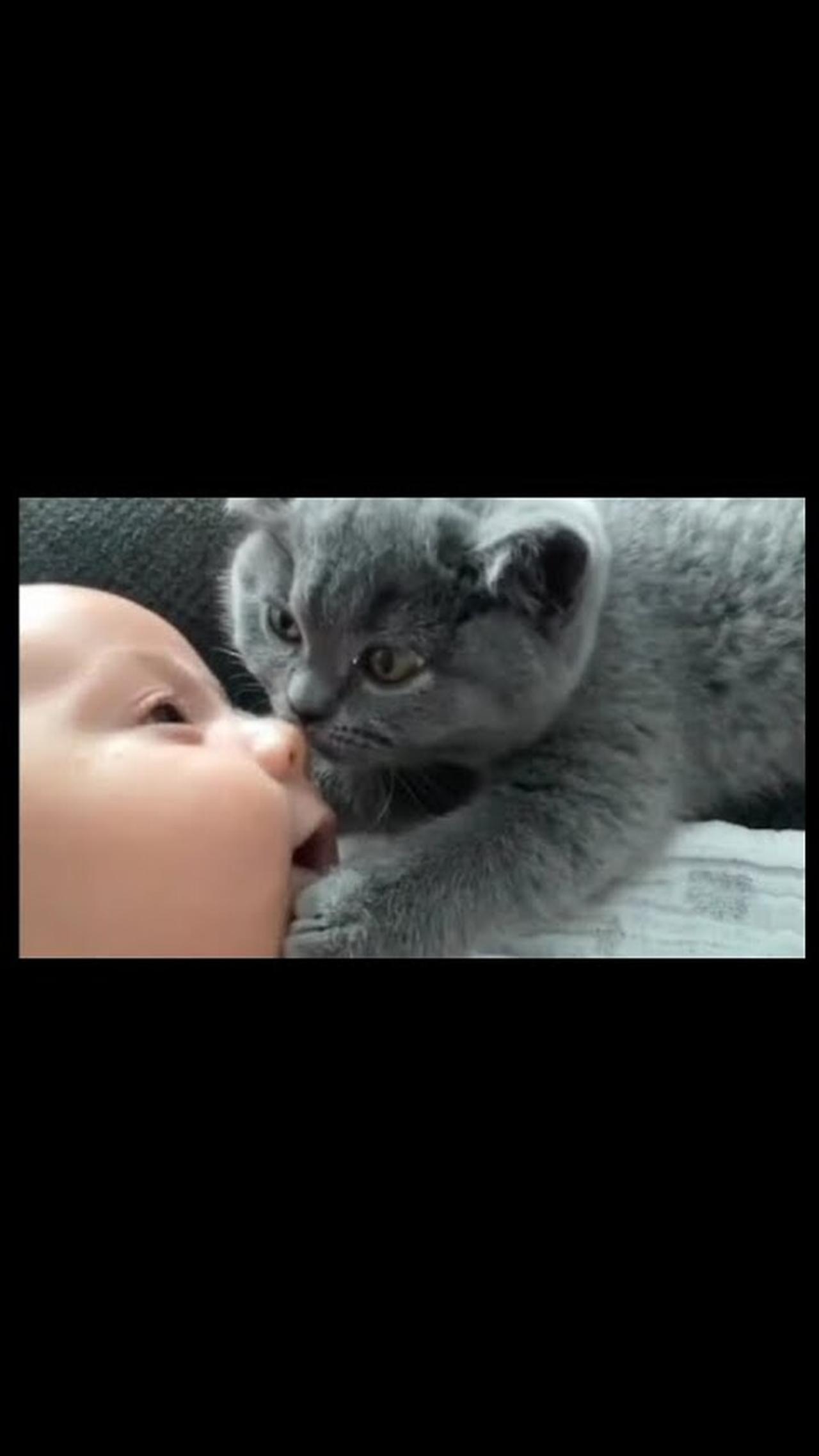 Cats really love children | So cute