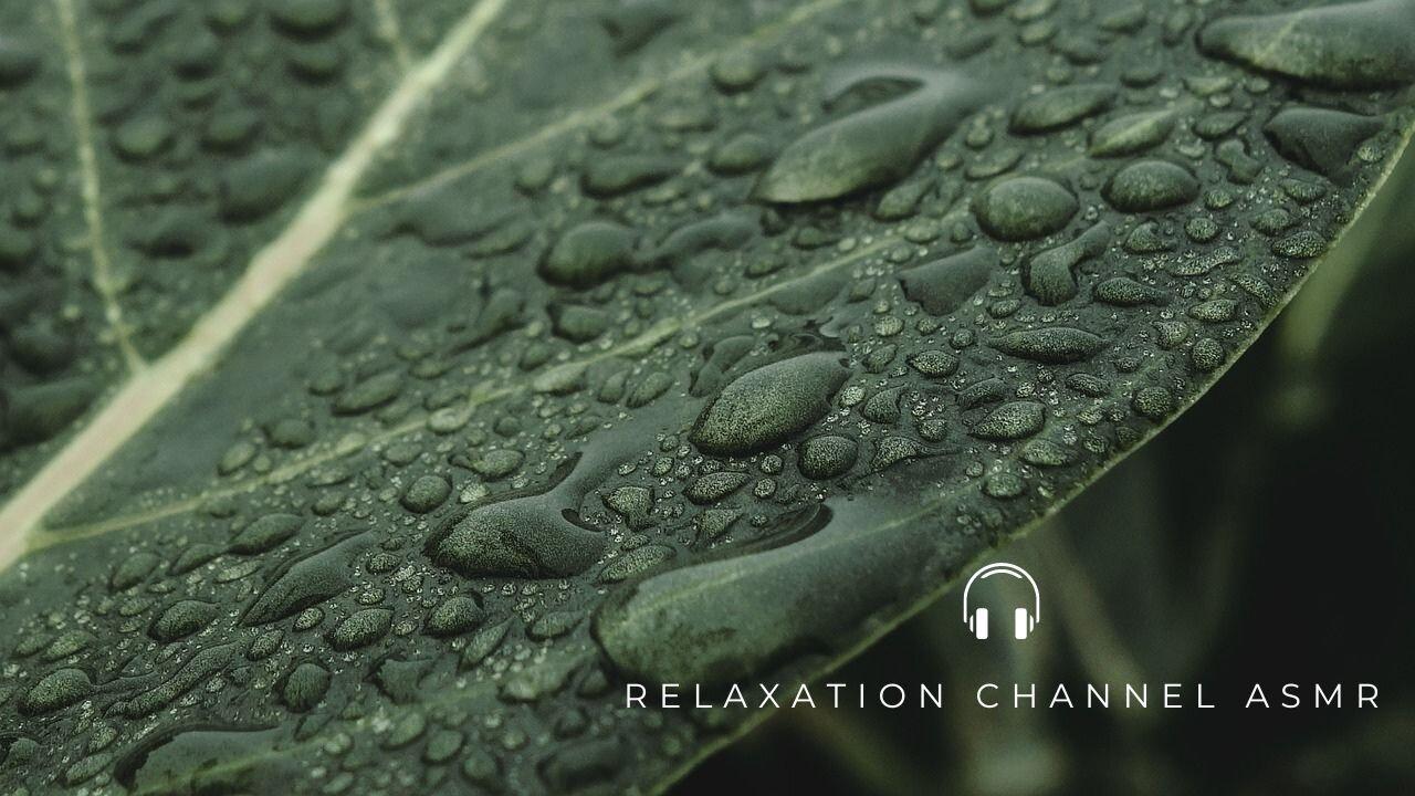 Gentle Rain Sound | ASMR Relaxation