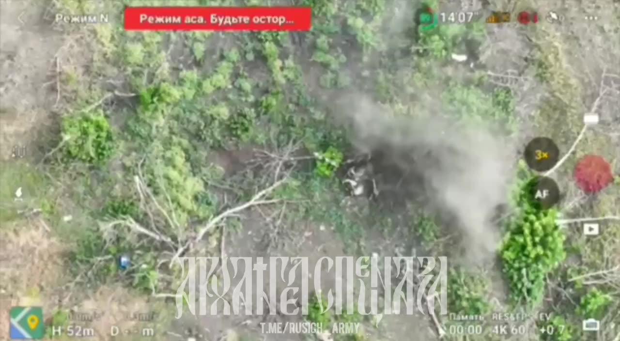 Drone Bomber Spotted Two AFU Militants in a Tree Line