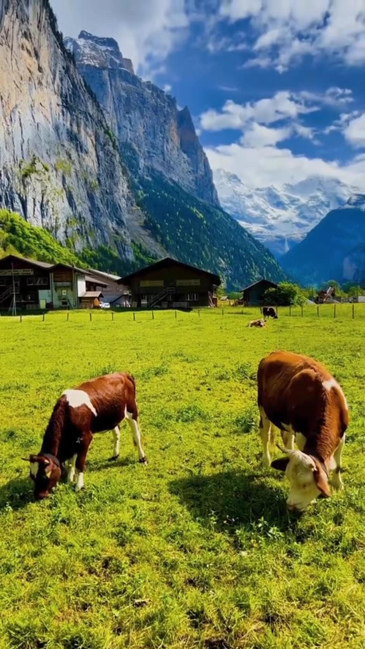 Discovering Switzerland's Breathtaking Beauty A Visual Journey Through the Swiss Alps and Beyond