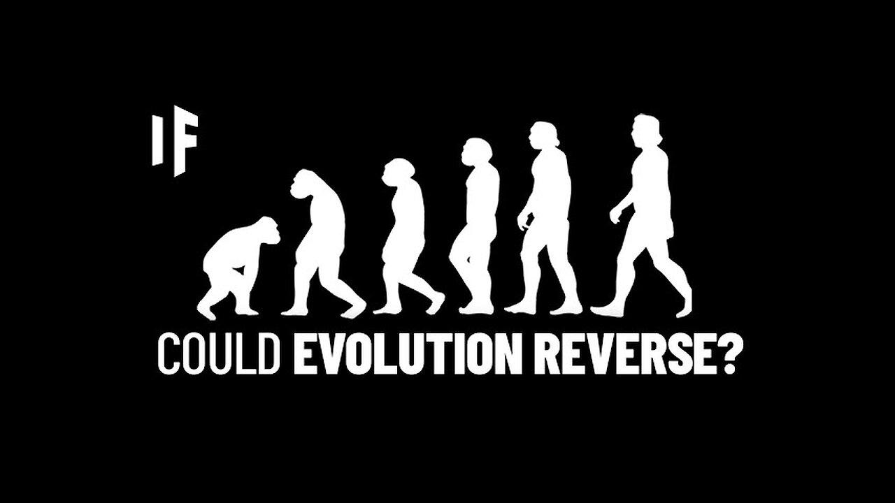 What If Humans Evolved Backward?