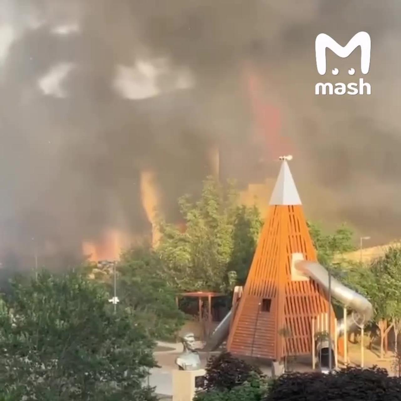 The synagogue in Makhachkala was completely burned down, 3 policemen