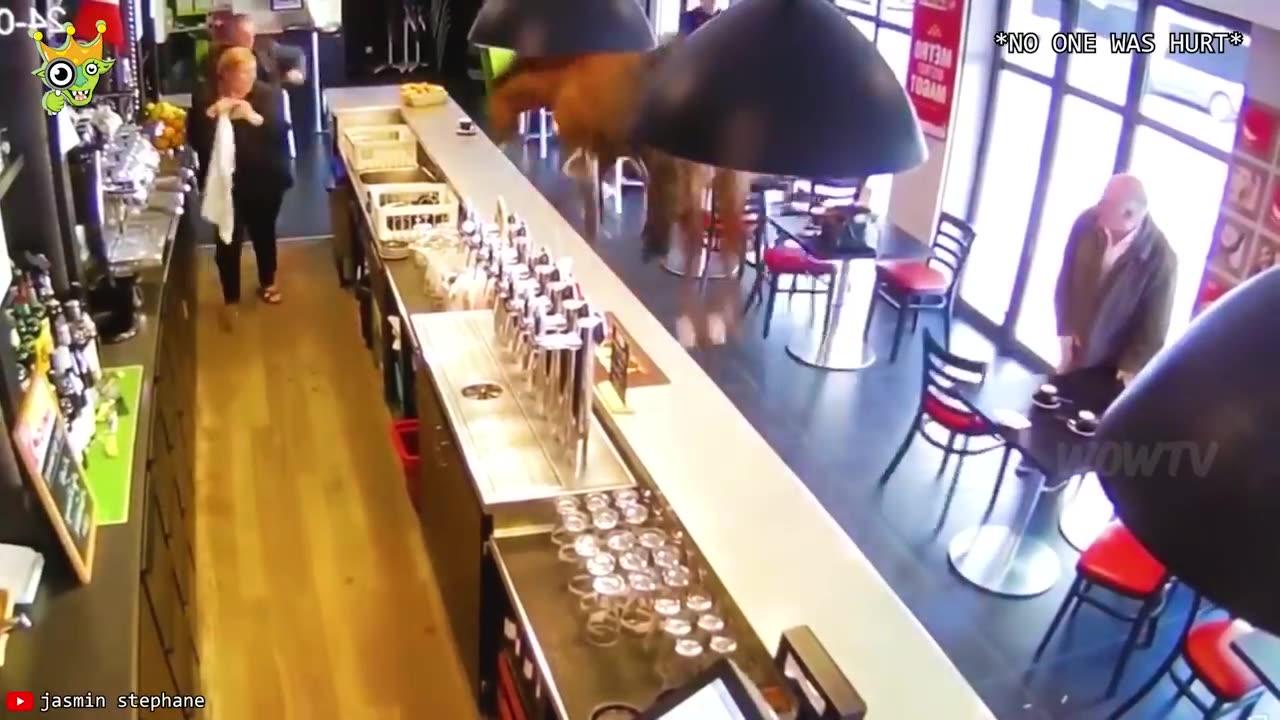 When Animals Go On A Rampage And Got Caught On - One News Page VIDEO