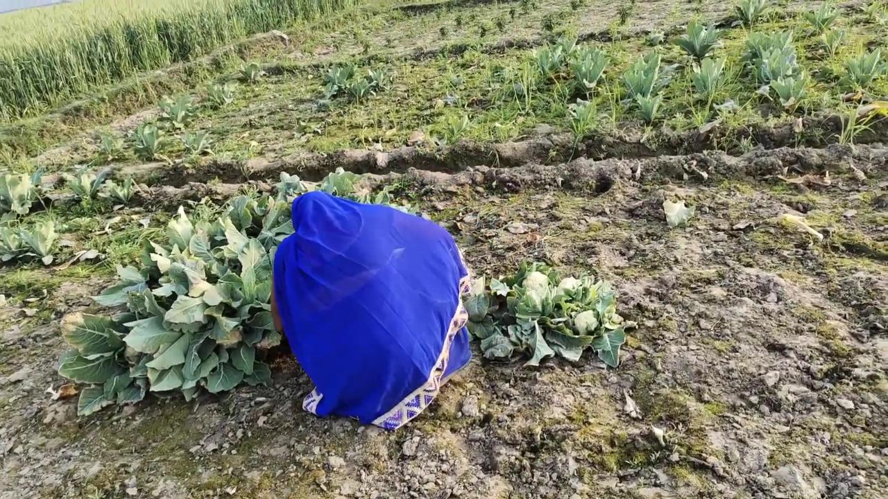 Indian Villagers Lifestyle In Uttar Pradesh II Hard Working Of Desi Woman II Indian Real Village