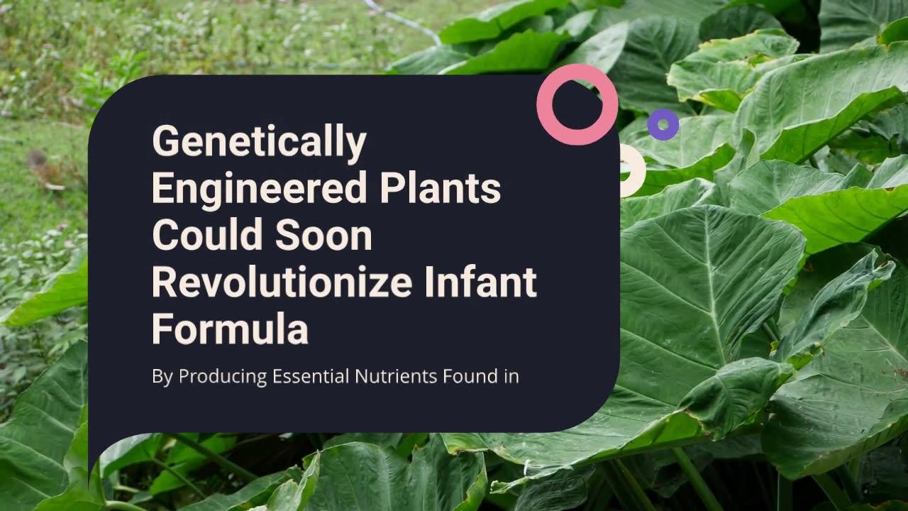 Plants May Soon Provide Essential Nutrients Found in Breast Milk