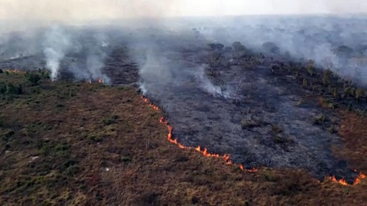 Devastating wildfires ravage Brazil's Pantanal wetlands