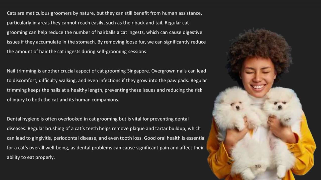 Cat grooming Singapore is essential for maintaining the overall health and well-being
