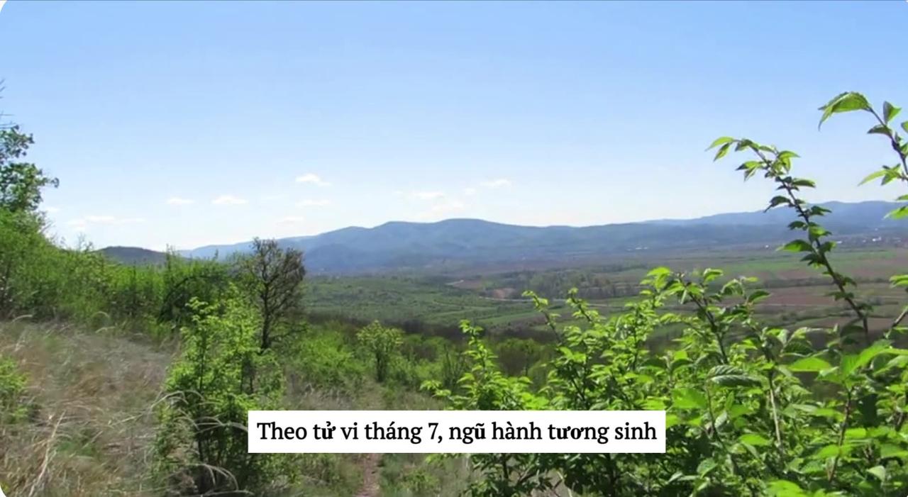 Tử vi tổng quan tháng 7 Mùi trong tử vi.Phần 2