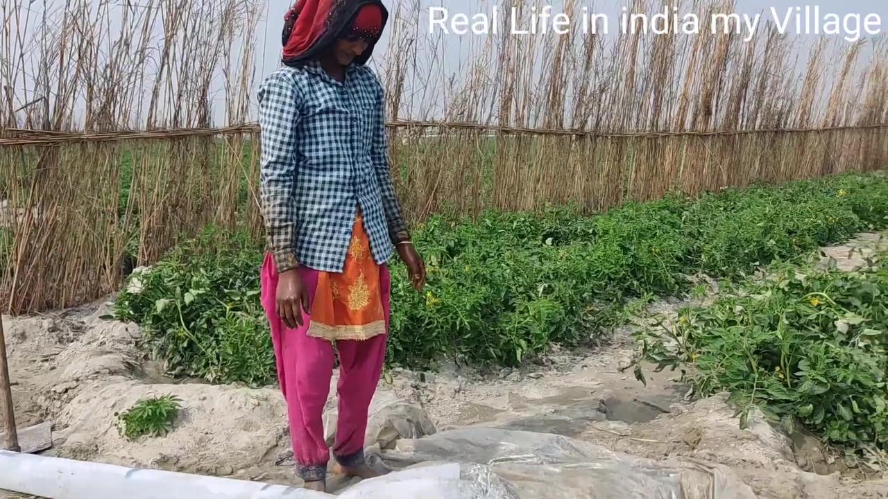 Beautiful village Lifestyle of india simpleBliessful Struggles of Every day Lifel Uttar pradesh Love